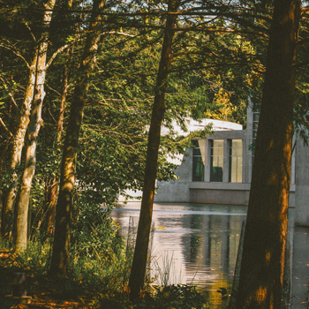 Crystal Bridges museum through trees